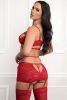 3pc Zipper Top With Garter Mini Skirt and