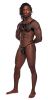 Aries Leather Harness