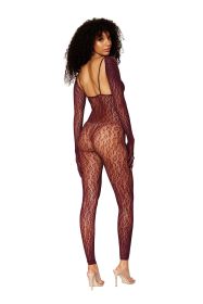 Catsuit Bodystocking and Shrug
