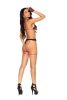 Bra and Garterbelt With Thong and Gloves