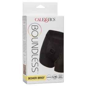 Boundless Boxer Brief L/XL