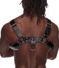 Aries Leather Harness