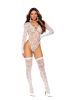 Long Sleeve Teddy and Stockings