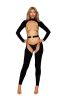 Bodystocking and Belt Dmnd