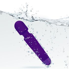 Tempest Wand Massager