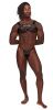 Aries Leather Harness