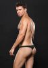 Low Rise Microfiber Zip Thong