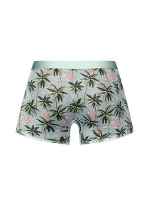 Sheer Prints (Option: Seamless Sheer Short  Large  Flamingo)