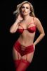 3 Pc Boyshort With Underwire Bra and Stockings
