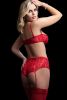 3 Pc Boyshort With Underwire Bra and Stockings