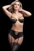 3 Pc Boyshort With Underwire Bra and Stockings