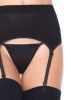 Zara Garter Belt and Stocking