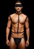 Envy 3 Pc Wet Look Chest Harness