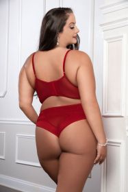 Cinnamon Red 2pc Satin Bra and High Waist Panty (Option: Queen Size)