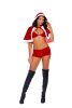 Santa's Naughty Helper 3pc