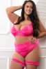 3pc Sultry Demi Bra and High Waist Panty
